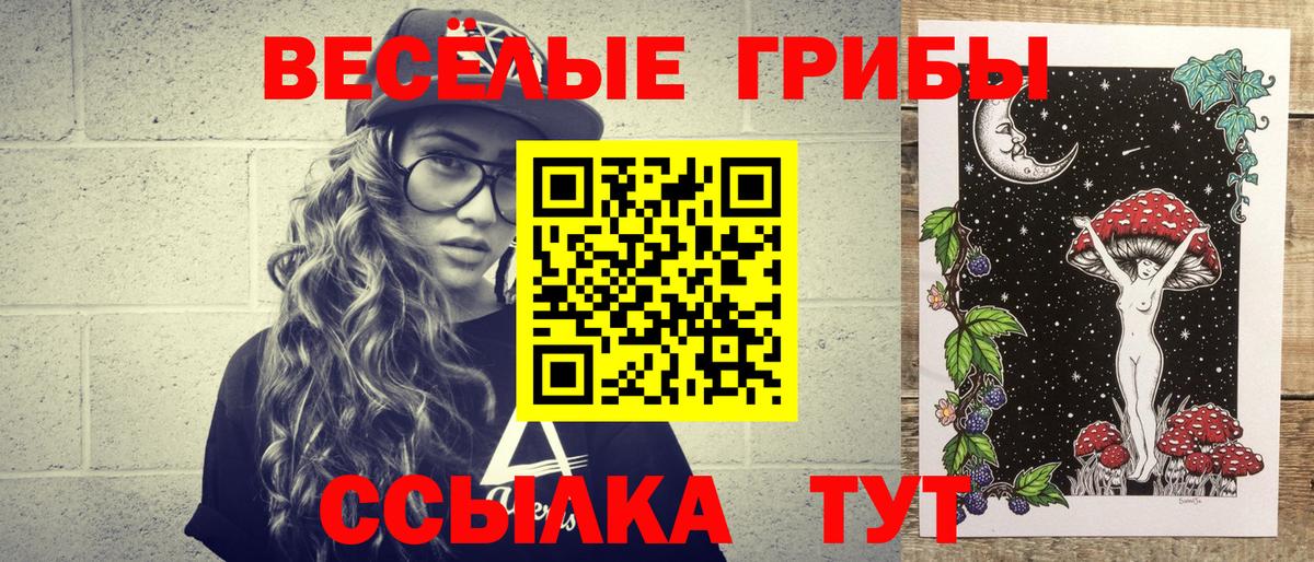 Малоярославец  Псилоцибиновые грибы мицелий  Вход с VPN 